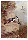Housemartins